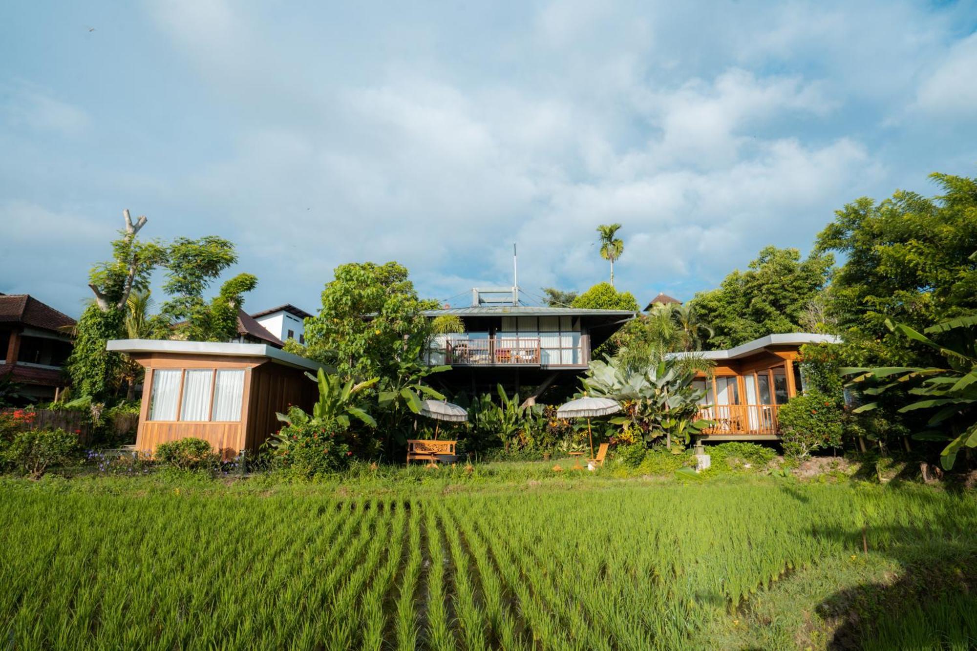 Gruen Ubud Екстериор снимка