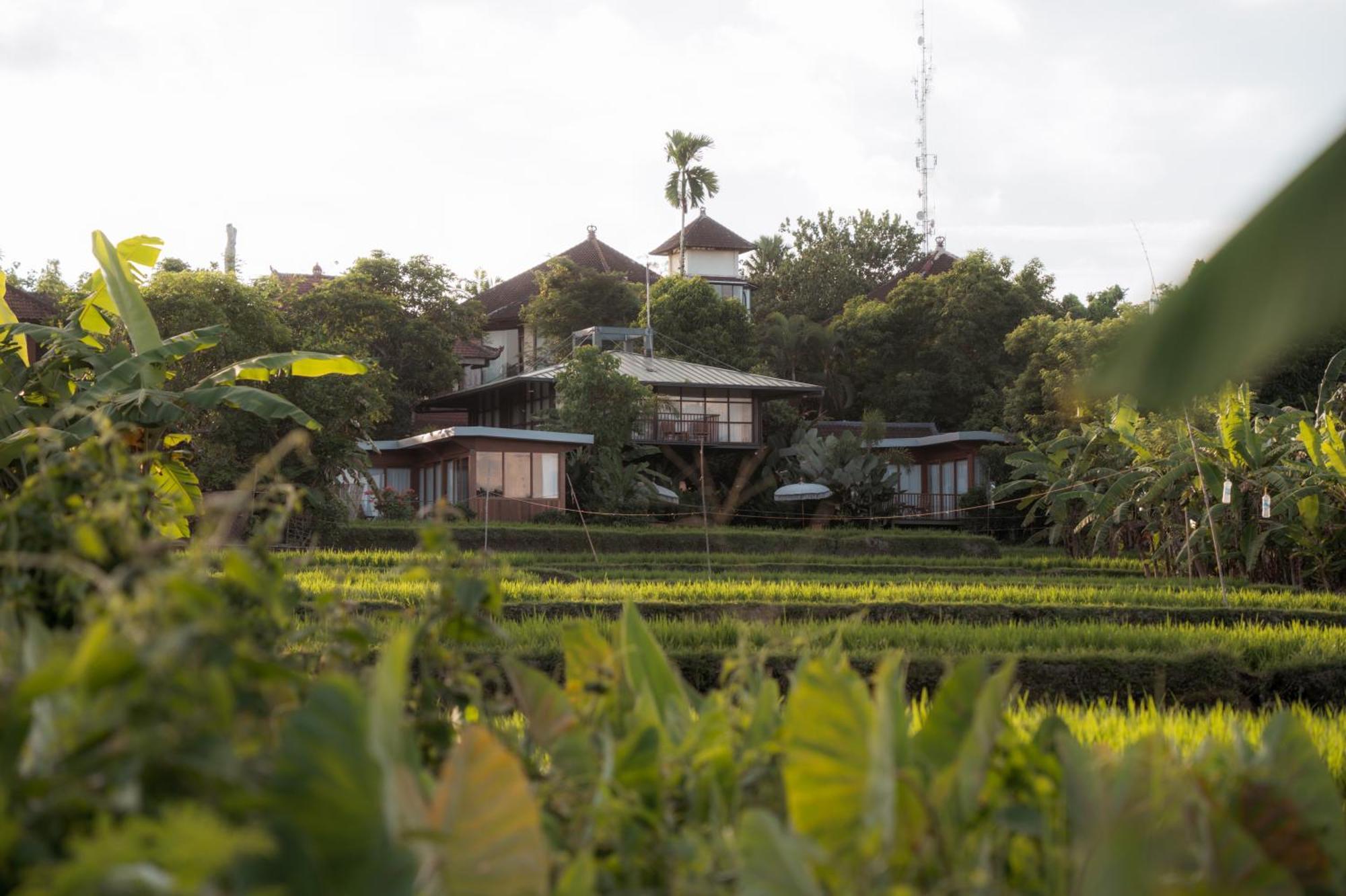 Gruen Ubud Екстериор снимка