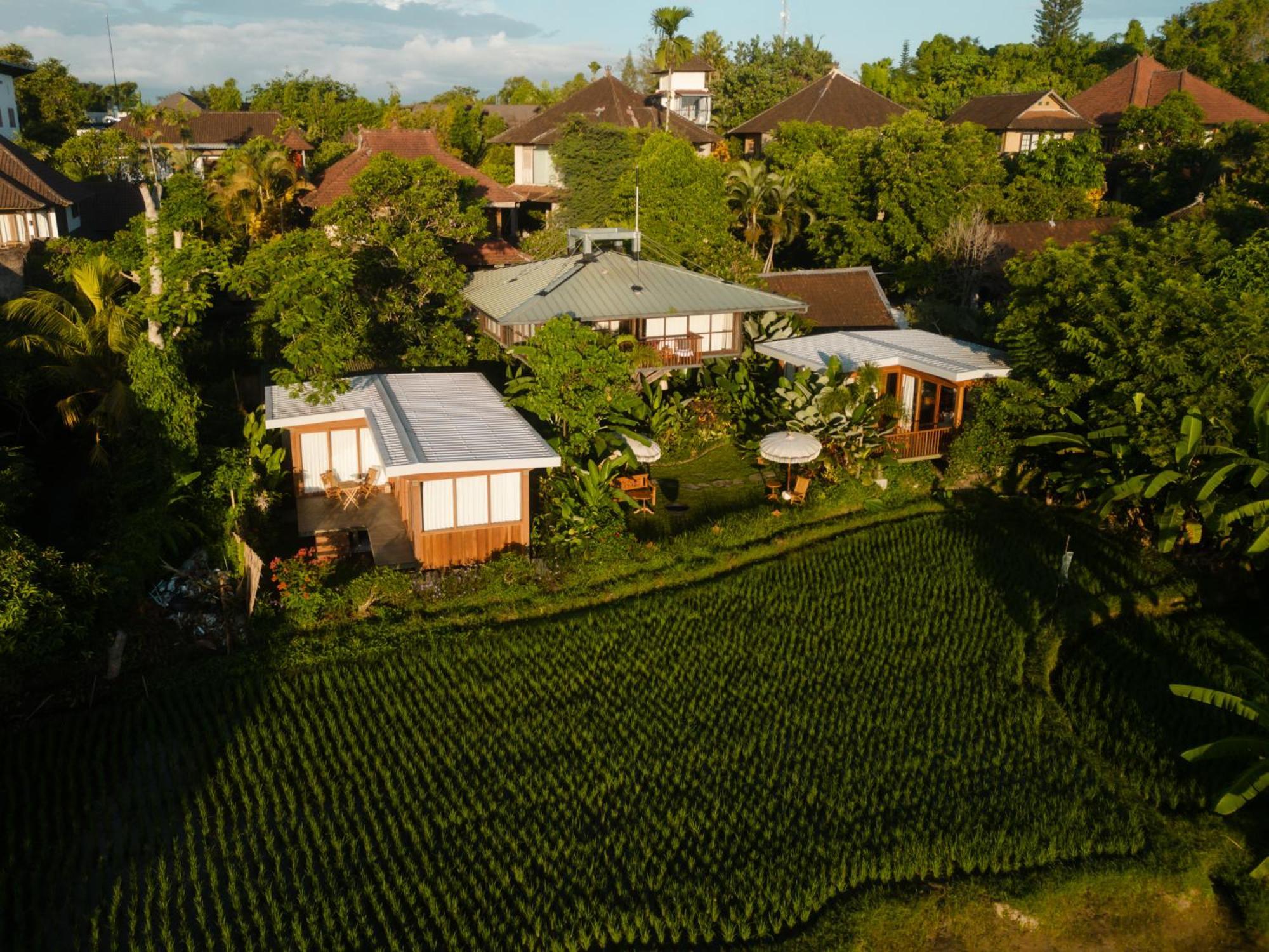 Gruen Ubud Екстериор снимка